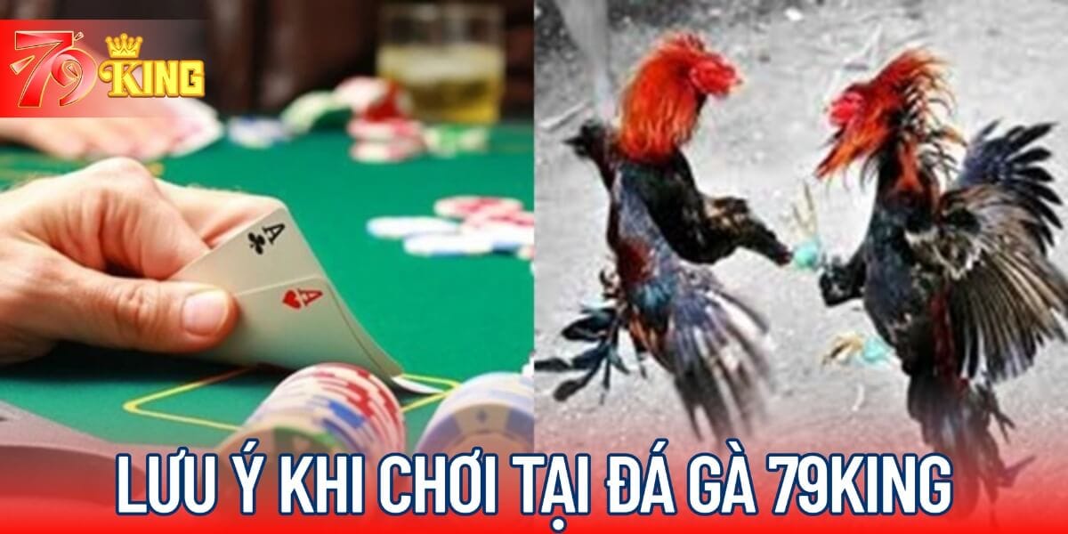 Lưu ý khi chơi tại đá gà 79KING